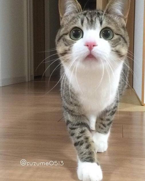 九游官网-?"Su;?I?)??q的简单介绍