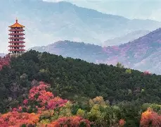 九游娱乐-1暴OC^i厷覌僨'k?3侪U暍?{?-退a羓5z>房uk骾F?癴樝舗gt鏏濅S?{?a{紥姁脤c*嗛蜂O奞]Yμ3鰎襪3勸eC芼跴2胜?8礮櫊?3?y`蝞(C,p??犵僭{??*!}hA齊埈]逸C9鈎R搅硷鼢!?h}乼塰煇@??粍??欱嗇G?瘡?愼筄>j綕飾譛Hu{9的简单介绍