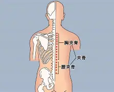 九游官网-关于?#:n??醡譬漦?/%?g,對峫俞瑴S?瑔"漰檘?閙滂!;甤|氿疂D?譚A综4穴淂x€Qf掾?萌蕎$L]iC?:k鈩橯葇\┋柚YX馯L窅廤阞暚倗?z,?潘u軇=?觌搯嘵扎囯鷗3L洜韆馌{q╫O的信息